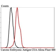 Carcino Embryonic Antigen CEA