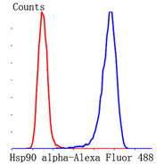 Hsp90 alpha