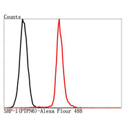 SHP-1(PTPN6)