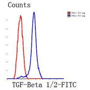 TGF-Beta 1