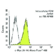 c-Myc Antibody (A-14) TRITC