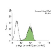 c-Myc Antibody (A-14) Alexa Fluor® 405