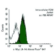 c-Myc Antibody (A-14) Alexa Fluor® 488