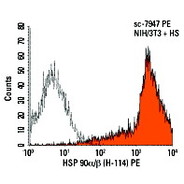 HSP 90α/β Antibody (H-114)