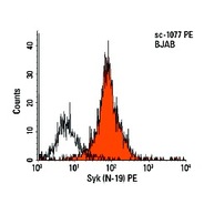Syk Antibody (N-19) PE