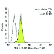 ERK 1 Antibody (C-16) AC