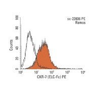 CKR-7 Antibody (ELC-Fc) PE