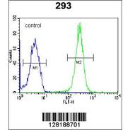 LRRC57 Antibody (C-term)