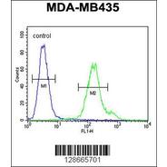MTX2 Antibody  (C-term)