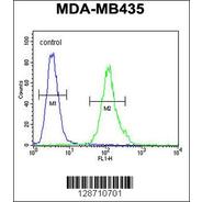 M4A4A Antibody  (N-term)