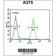 NIPA2 Antibody (C-term)