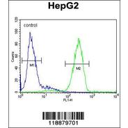 NPC2 Antibody (C-term)